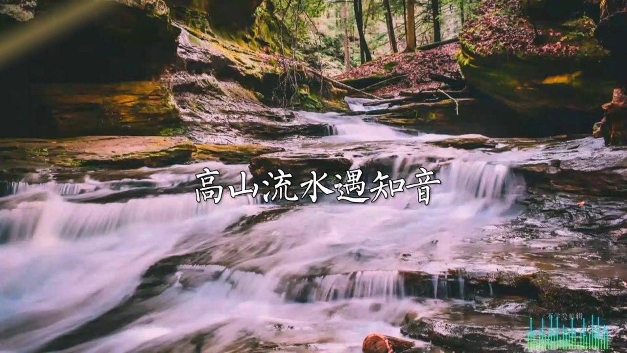 片多多软件能下载电视剧吗?