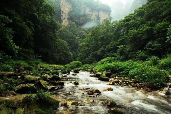 空腹喝水危害真有那么大吗？医生为您揭开空腹喝水背后的真相